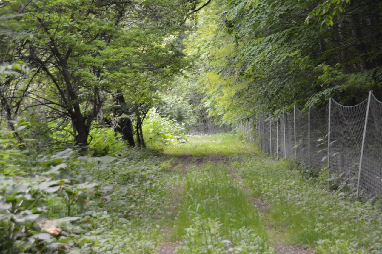 鹿家 Furano Dear House Villa Dış mekan fotoğraf